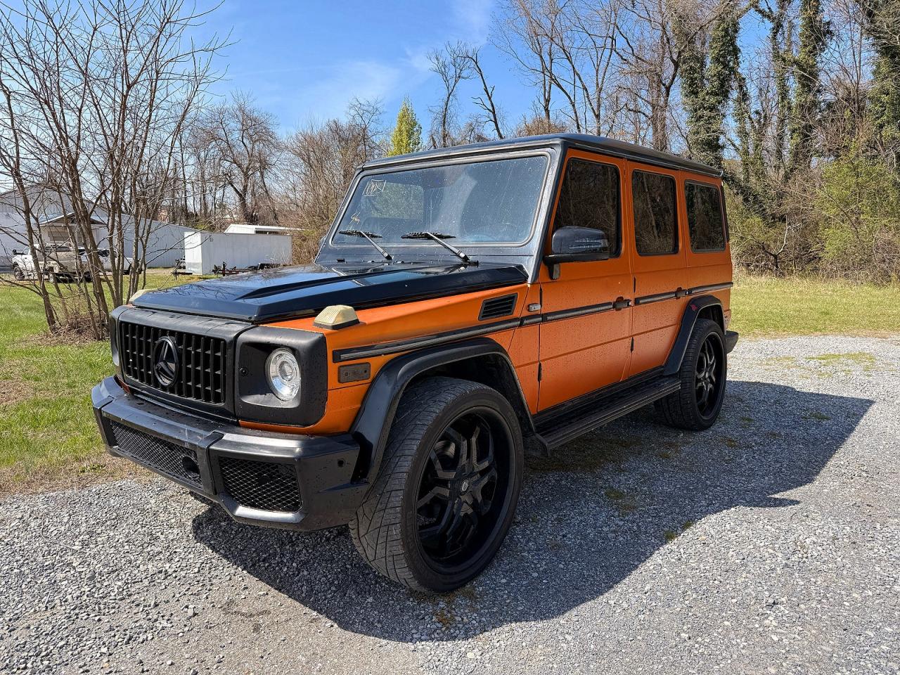 2002 MERCEDES-BENZ G-class VIN WDCYR49E32X128378 photo 2