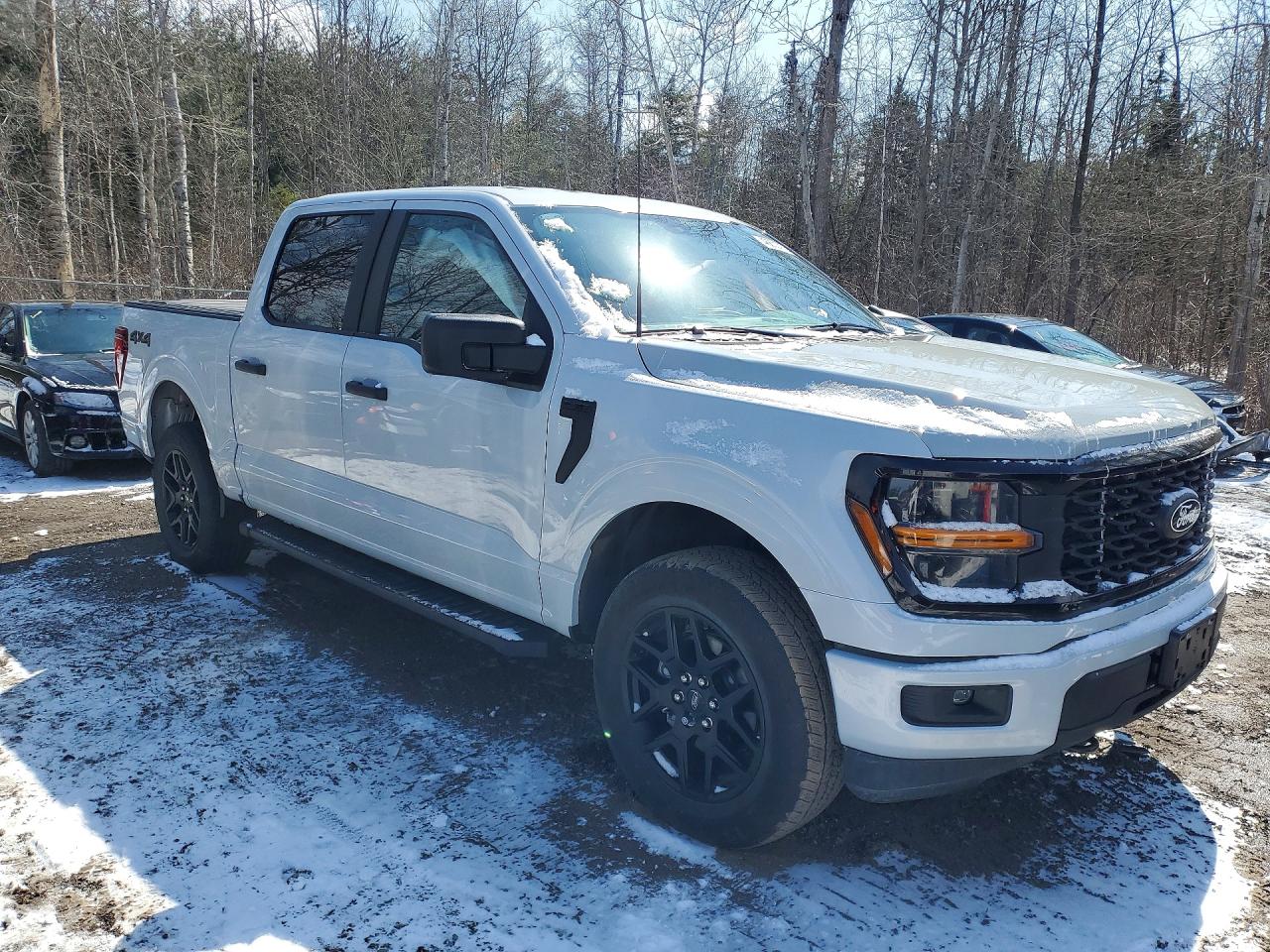 2025 Ford F150 stx VIN 1FTEW2LP3SKF30513 photo 4