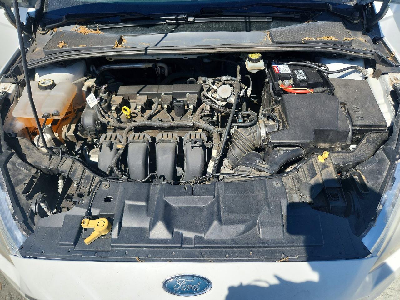 2017 Ford All models VIN 1FADP3H21HL311814 photo 11