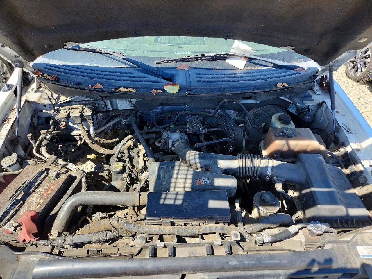 2009 Ford F150 VIN 1FTRF12W09KB99646 photo 12
