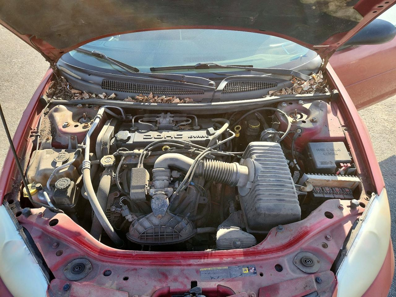 2005 Dodge Stratus VIN 1B3EL46J55N659174 photo 11