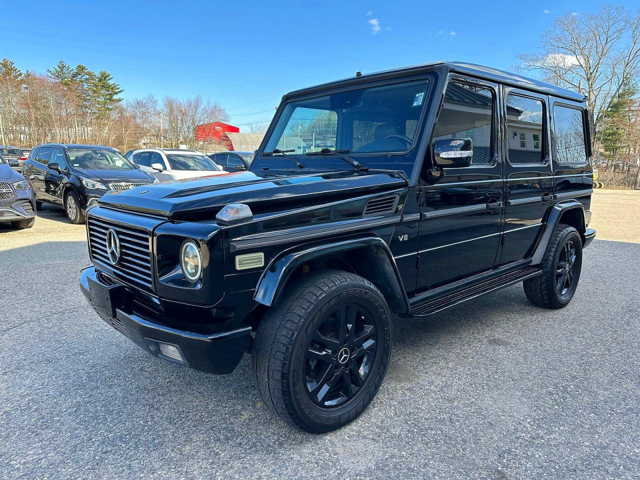 2003 MERCEDES-BENZ G-class VIN WDCYR49E23X140703 photo 2