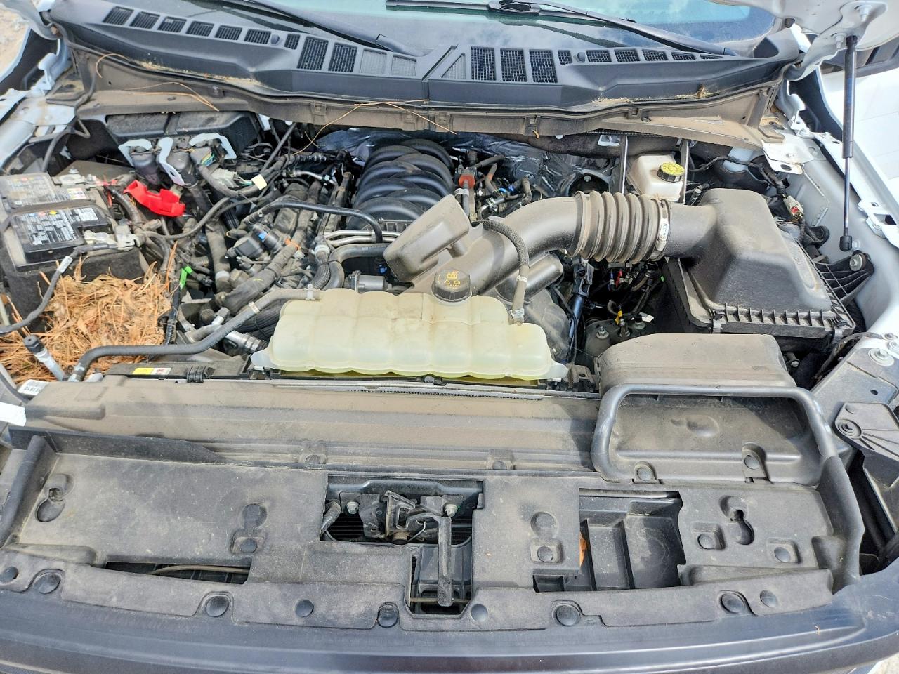 2025 Ford F150 VIN 1FTFW1L57SKD64008 photo 11