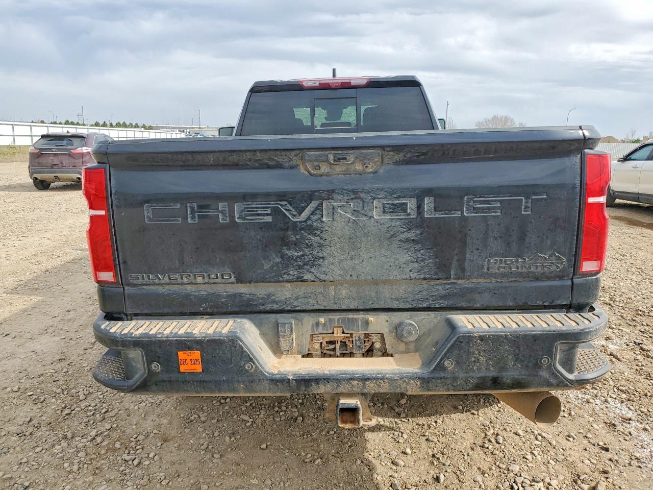 2024 Chevrolet Silverado VIN 1GC4YVEY3RF405379 photo 6