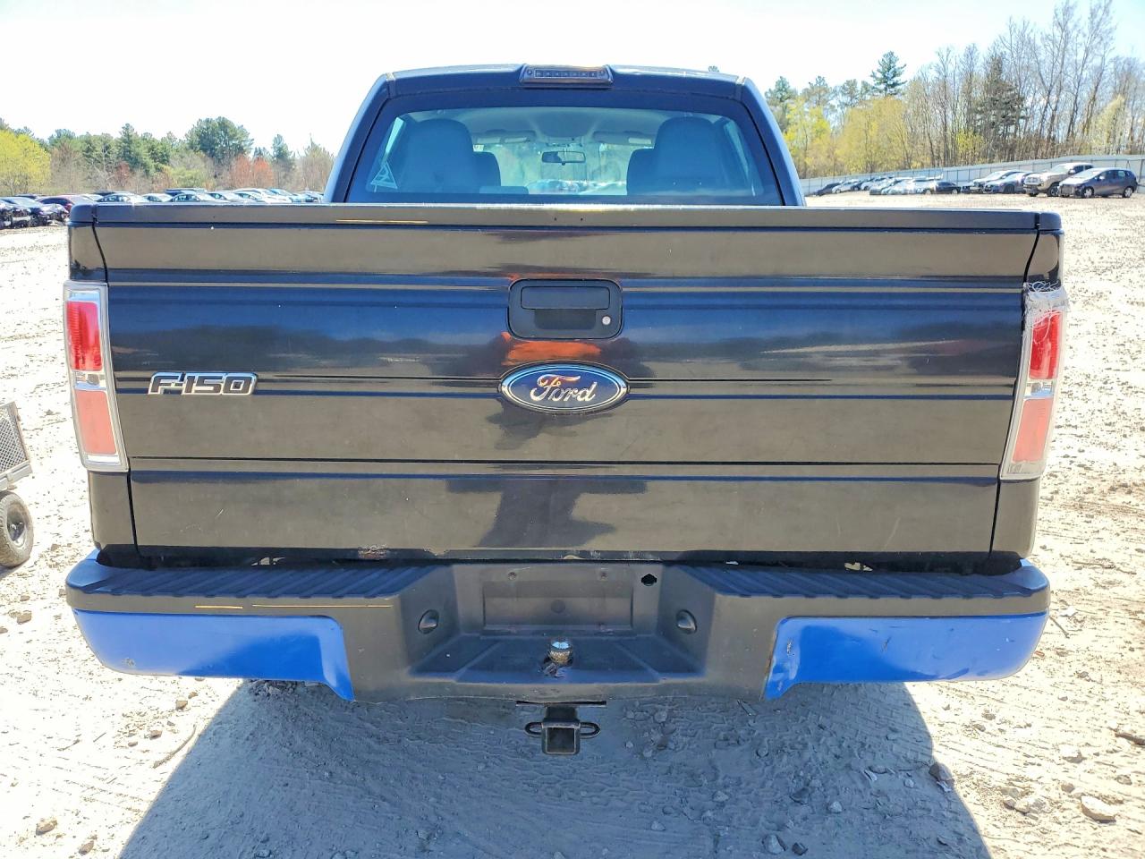 2010 Ford F150 VIN 1FTEW1E85AFD47458 photo 6