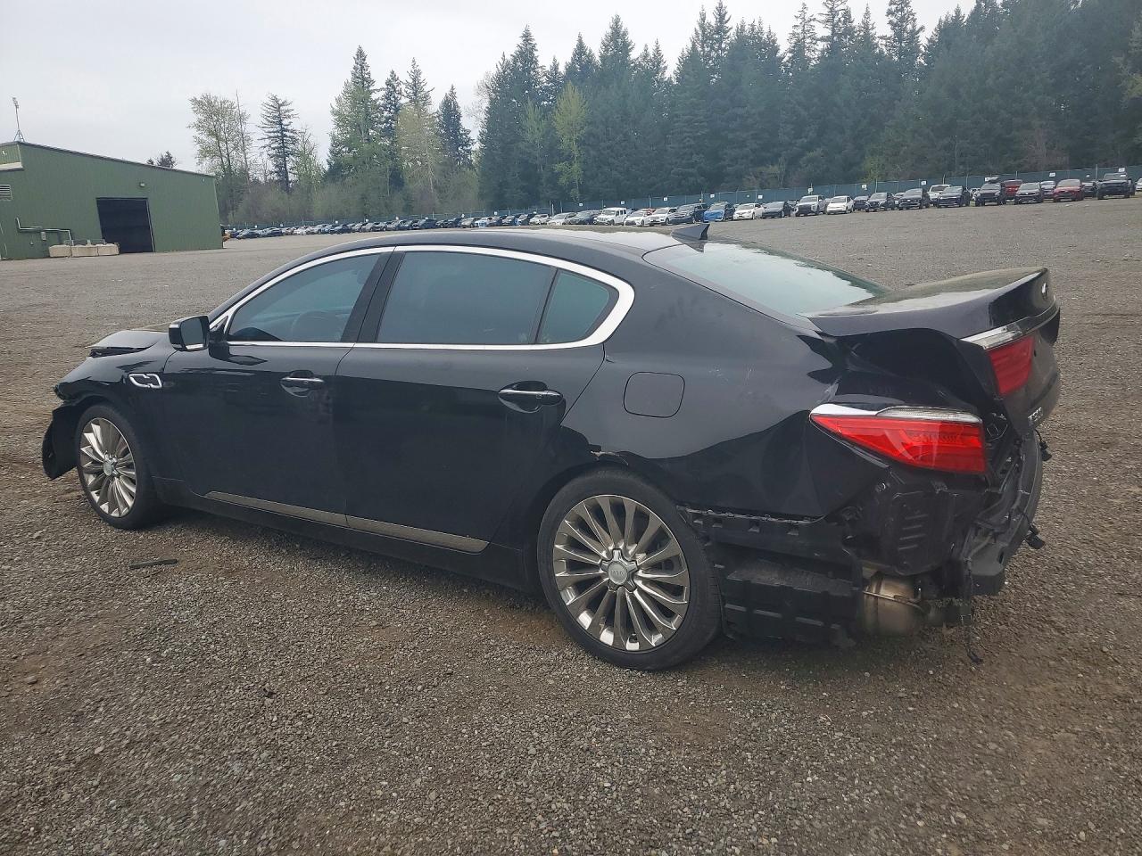2018 KIA K900 VIN KNALW4D43J6037507 photo 2