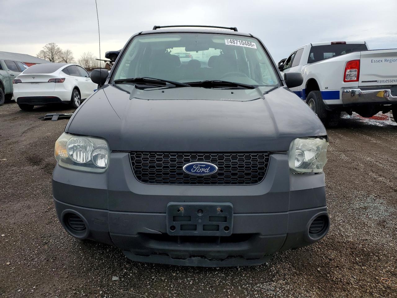 2006 Ford Escape VIN 1FMYU92Z56KA07560 photo 5