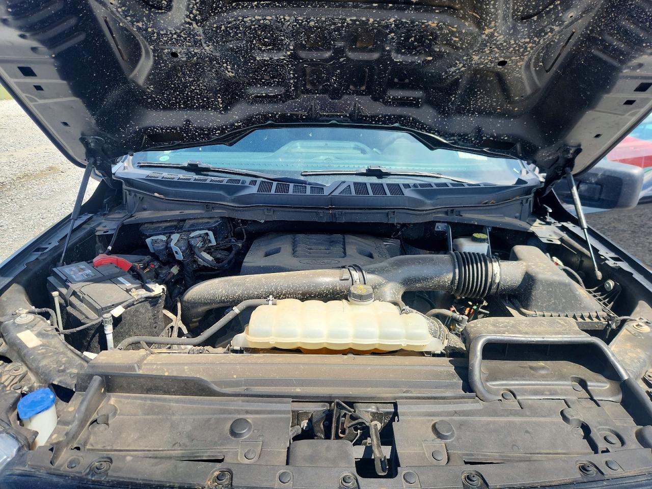 2021 Ford F150 VIN 1FTFW1E80MFA75362 photo 11