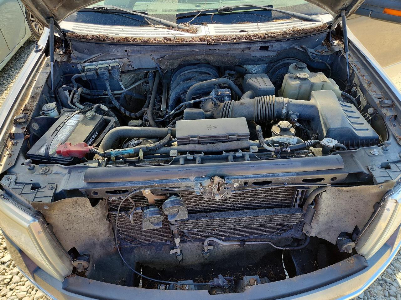 2009 FORD F150 VIN 1FTRX14869KB12506 photo 11