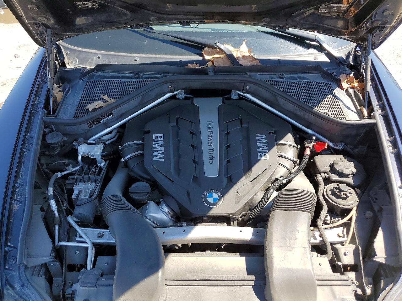 2013 BMW X6 VIN 5UXFG8C56DL591367 photo 12