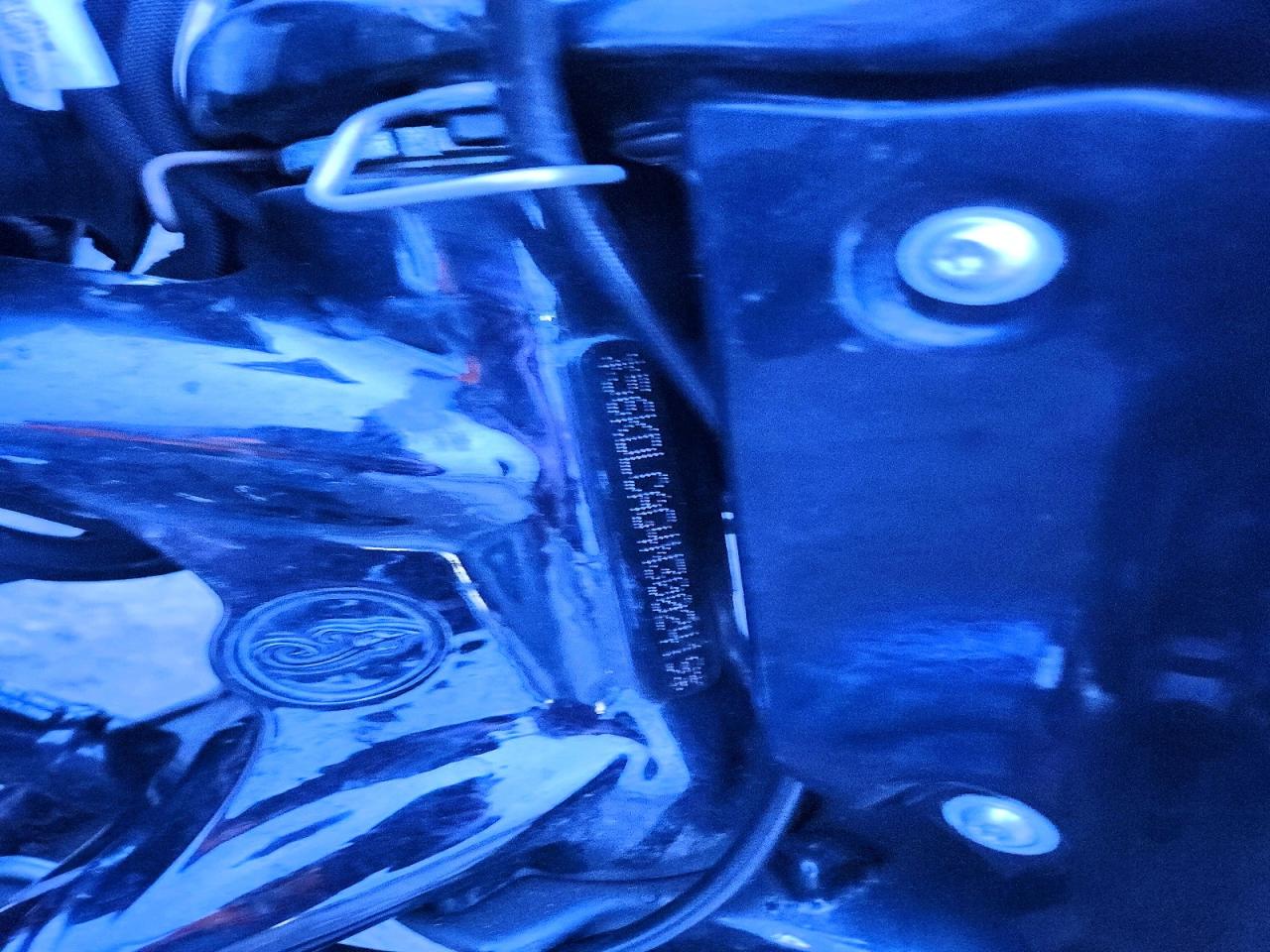 2022 INDIAN Motorcycle VIN 56KDLCAG4N3002419 photo 8