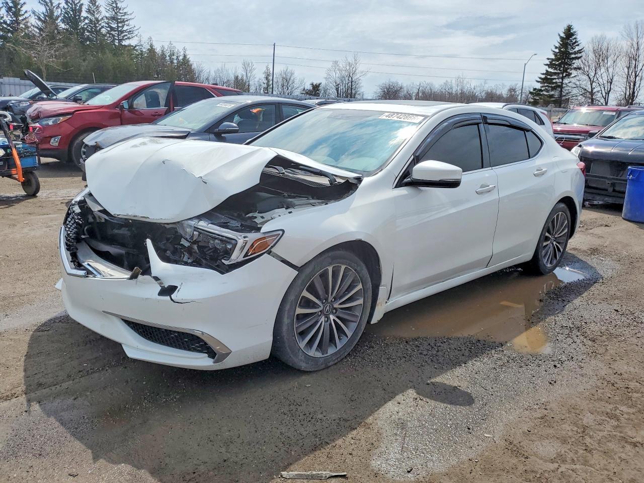 2018 Acura Tlx VIN 19UUB3F5XJA800236 photo 1