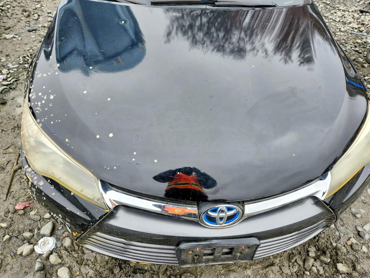 2015 Toyota Camry sola VIN 4T1BD1FK0FU150036 photo 11