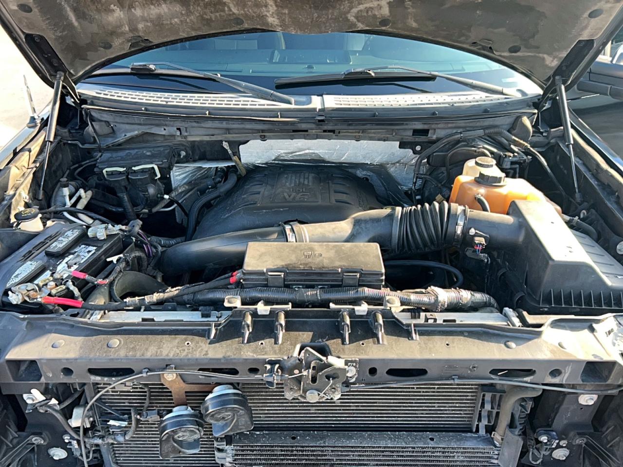 2011 Ford F150 VIN 1FTFW1ET2BFD11379 photo 7