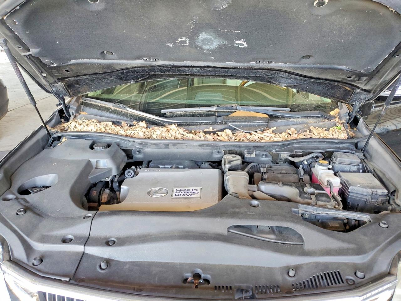 2010 Lexus Rx450 VIN JTJBC1BA2A2402844 photo 12
