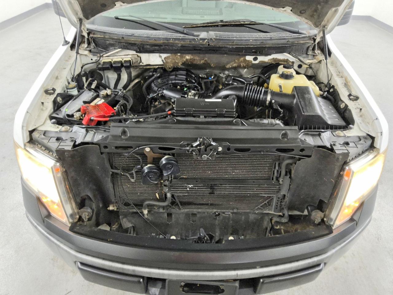 2011 Ford F150 VIN 1FTMF1CM1BKD44609 photo 11