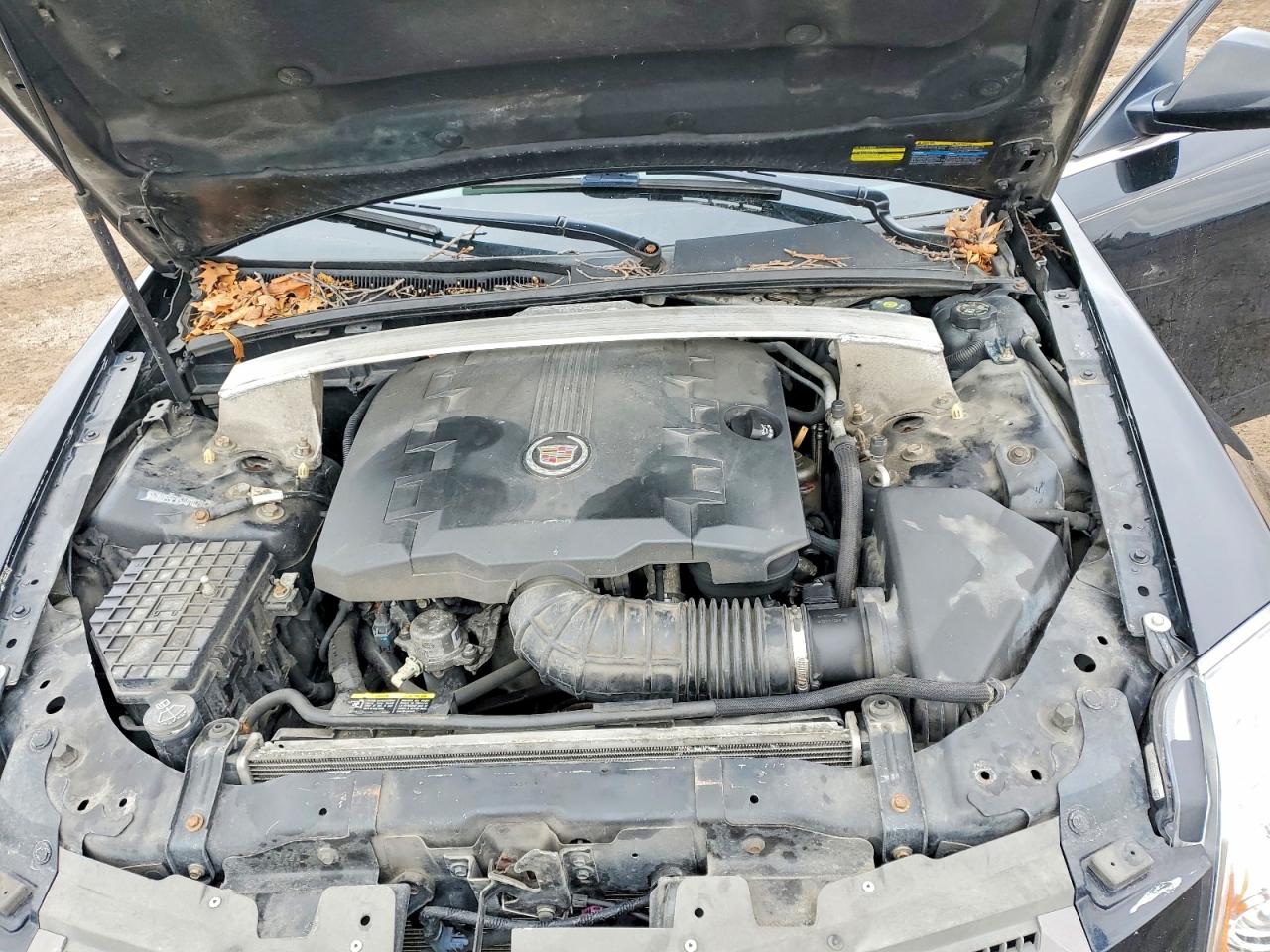 2010 Cadillac Cts VIN 1G6DS5EV5A0102847 photo 11