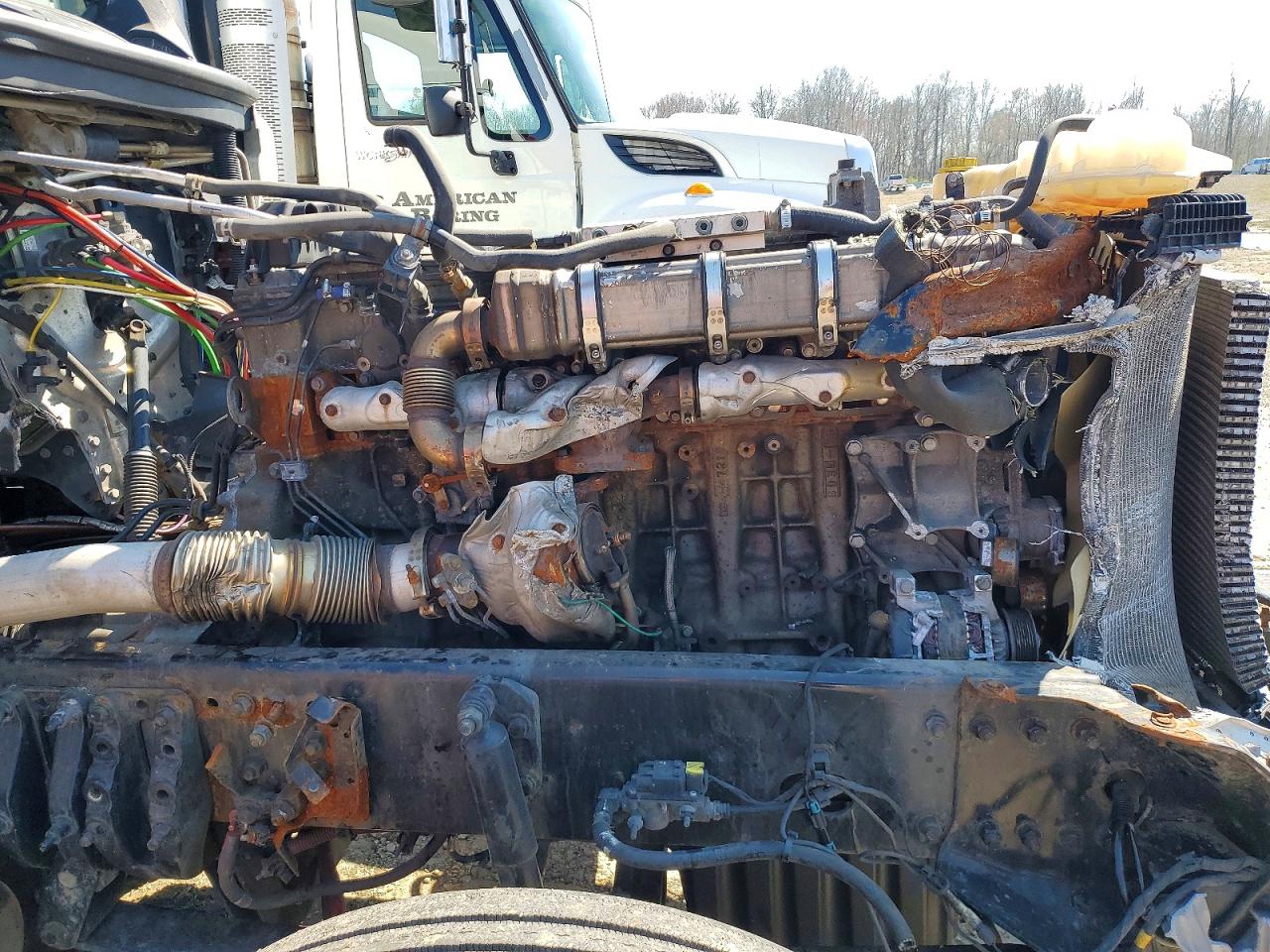 2019 FREIGHTLINER All other VIN 3AKJHHDR9KSKN0646 photo 7