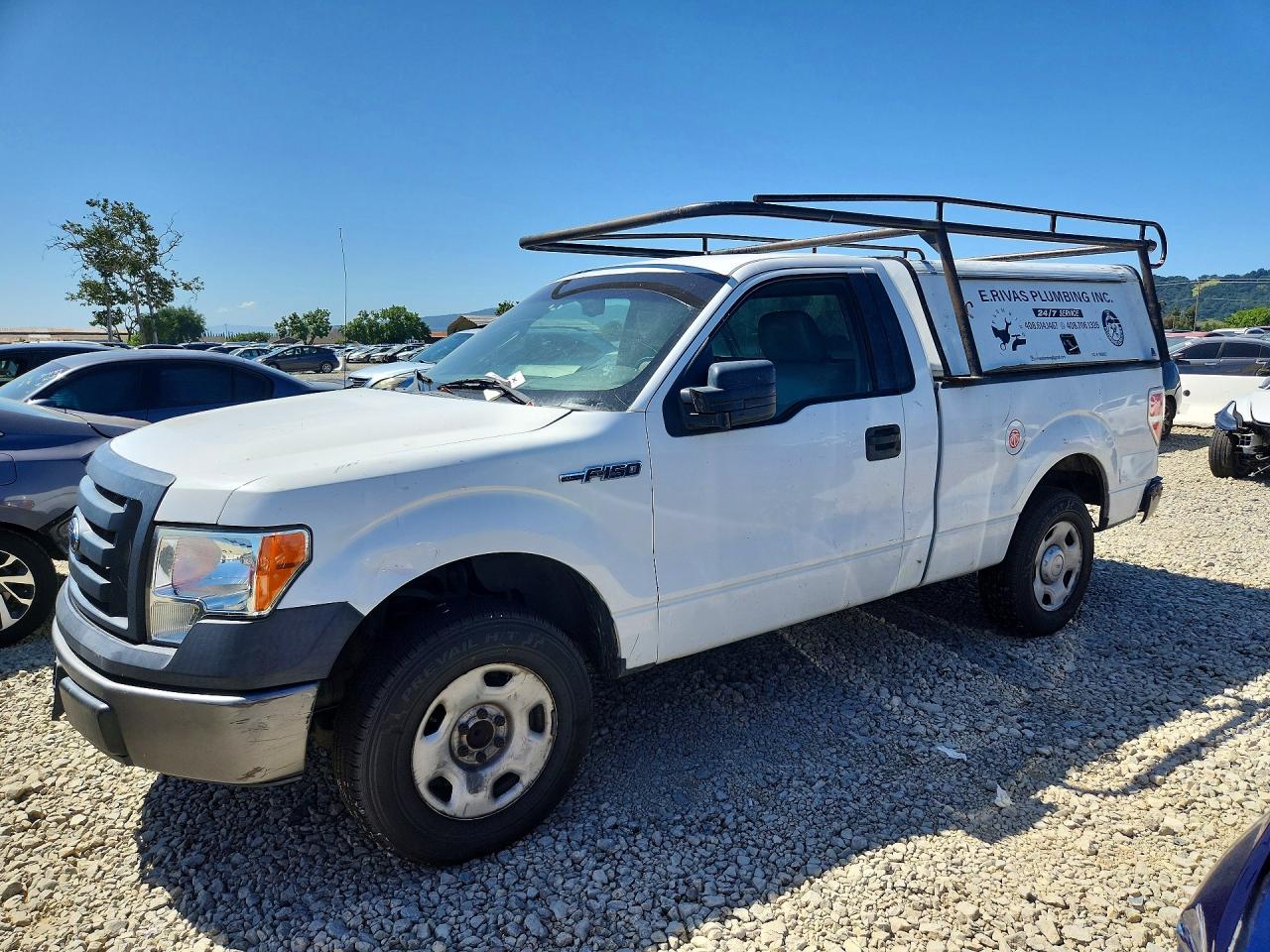 2009 Ford F150 VIN 1FTRF12W09KB99646 photo 1