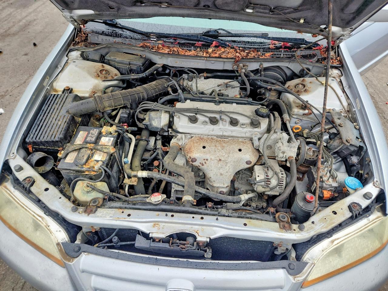 2002 HOND Accord VIN 1HGCG56662A166166 photo 11