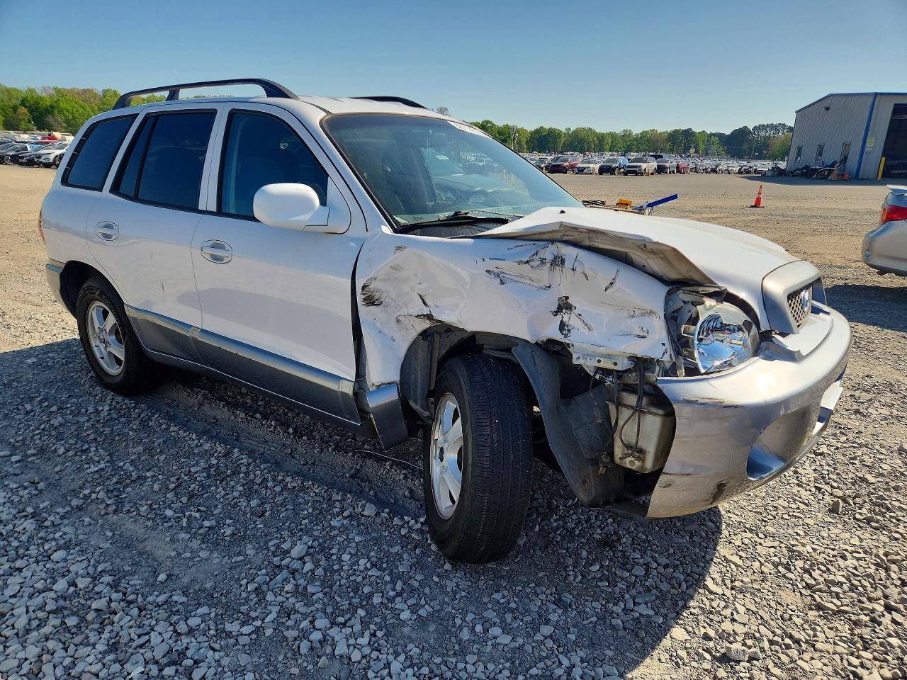 2003 Hyundai Santa fe VIN KM8SC13DX3U426856 photo 4