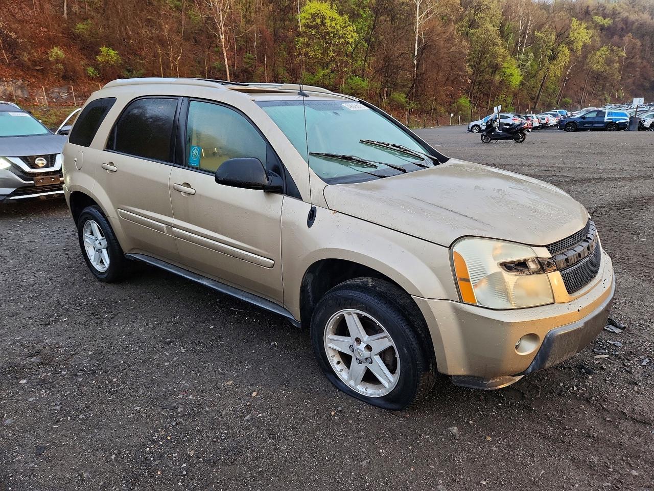2005 Chevrolet Equinox VIN 2CNDL73F156137234 photo 4