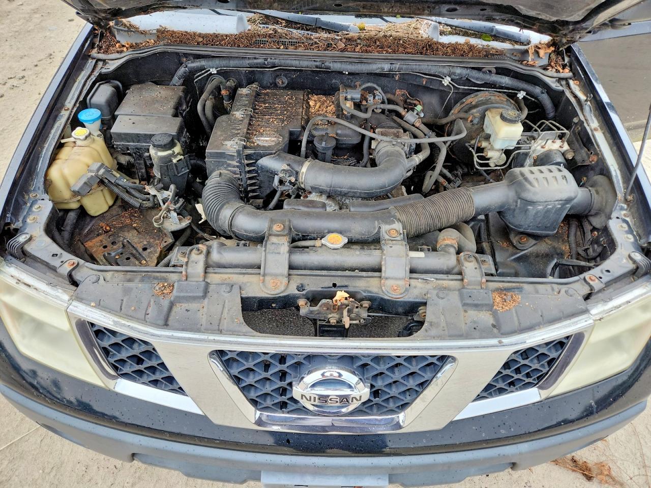 2006 Nissan Frontier VIN 1N6BD06T96C443010 photo 11