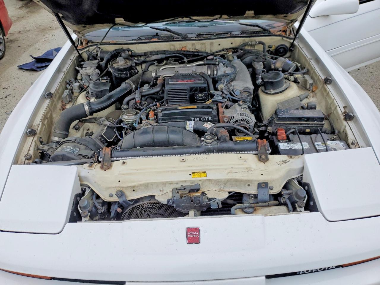1989 TOYOTA Supra VIN JT2MA71L1K0114407 photo 11