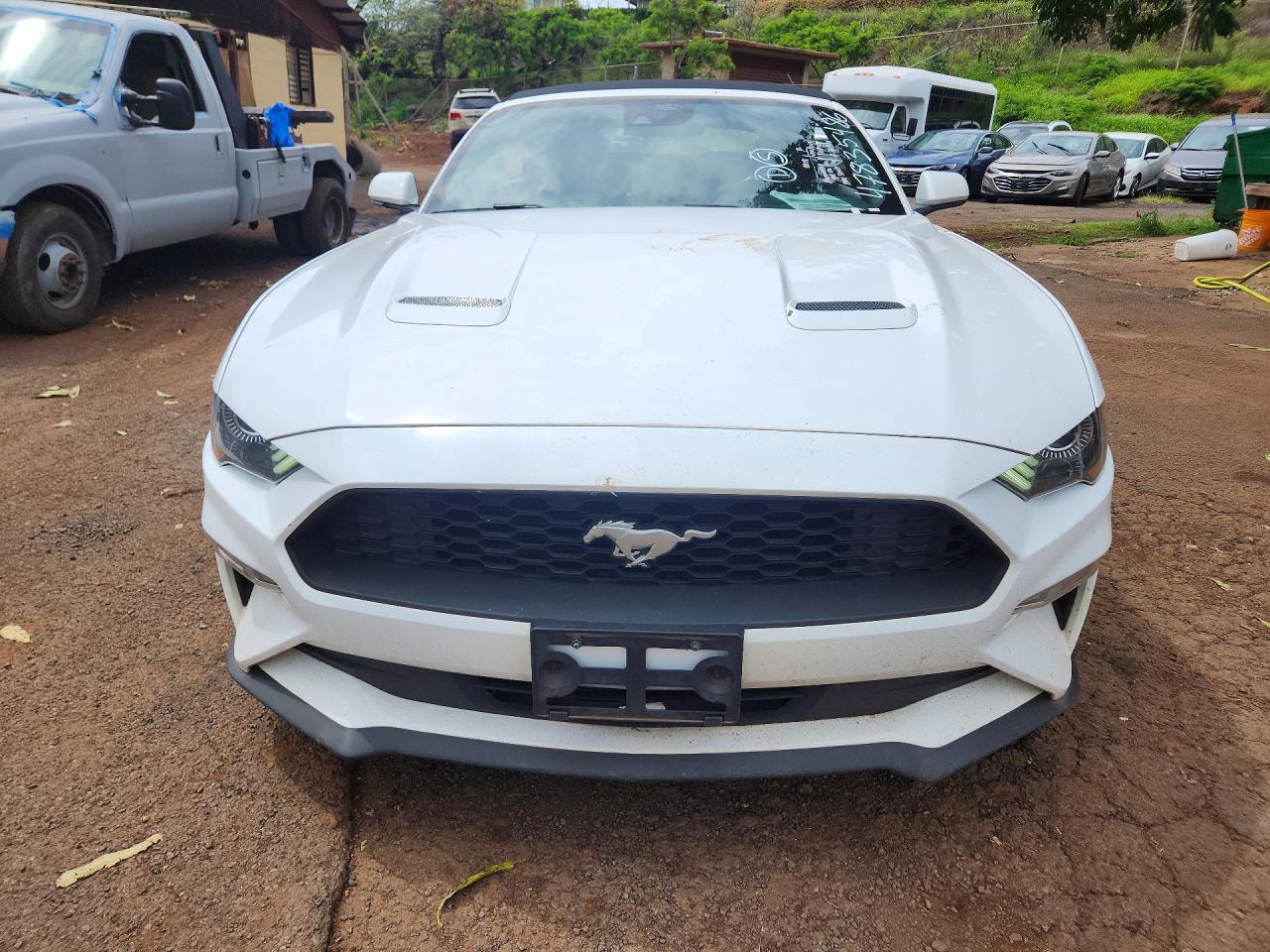 2023 Ford All models VIN 1FATP8UHXP5108474 photo 5