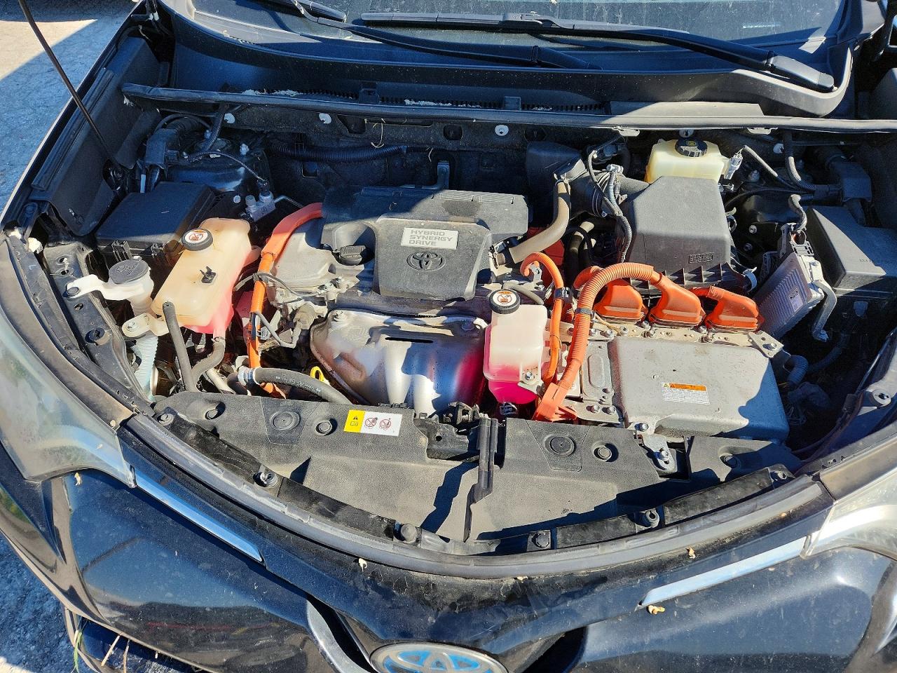 2017 Toyota Rav4 VIN JTMRJREV5HD113167 photo 12