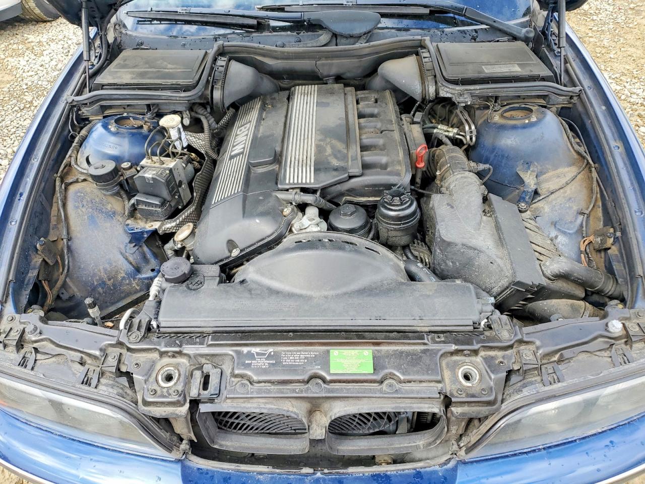 2000 BMW 5 series VIN WBADM6348YGU27417 photo 11