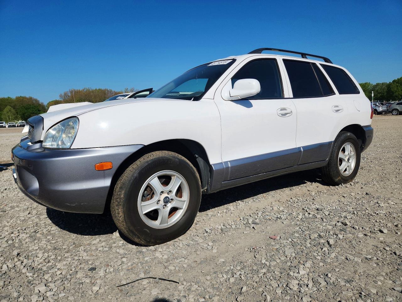 2003 Hyundai Santa fe VIN KM8SC13DX3U426856 photo 1