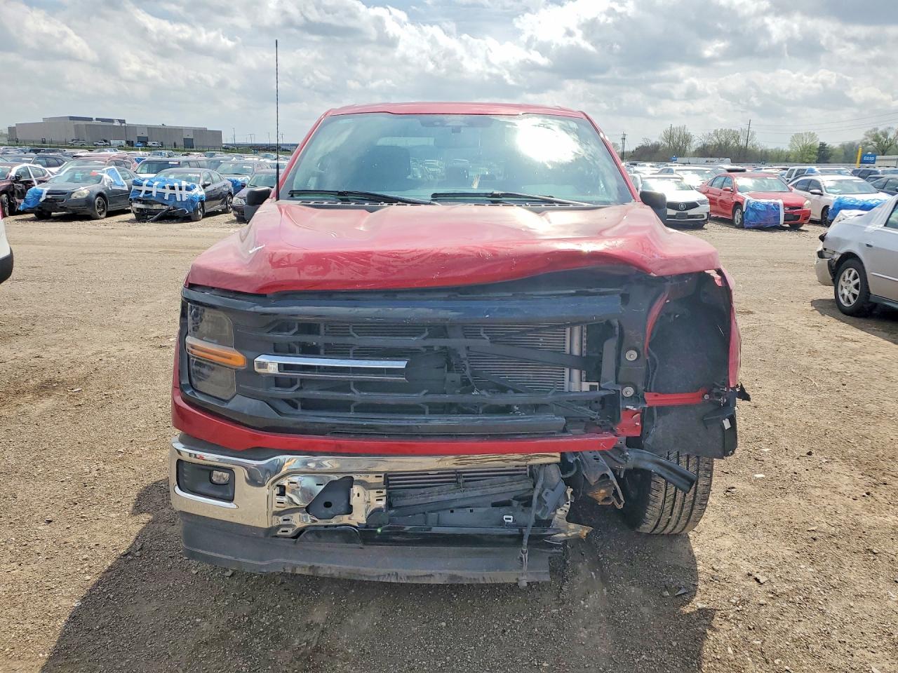 2024 Ford F150 VIN 1FTEW3K83RKD65668 photo 5