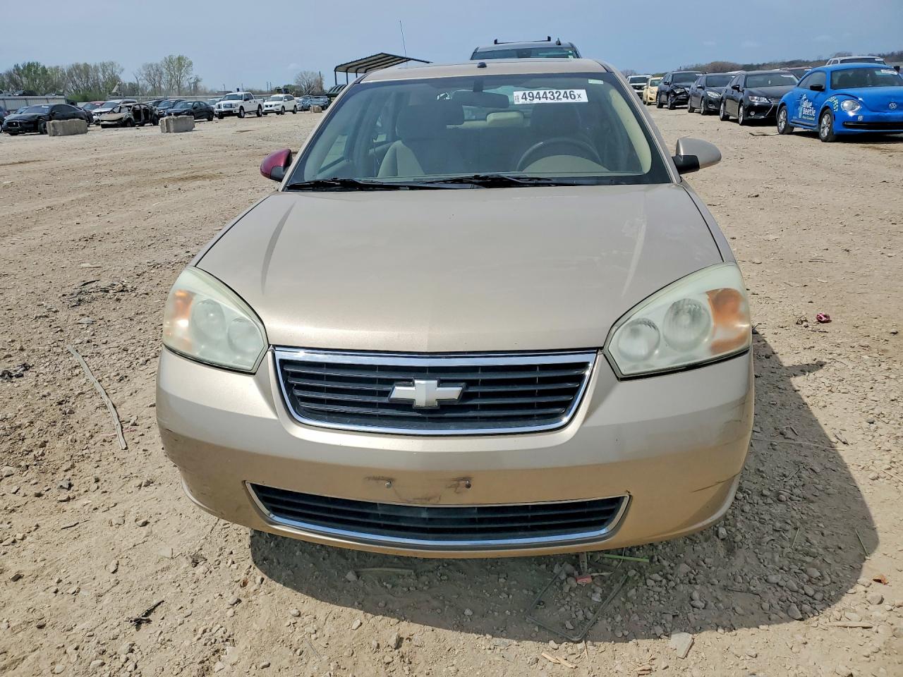 2006 Chevrolet Malibu VIN 1G1ZT63816F241471 photo 5