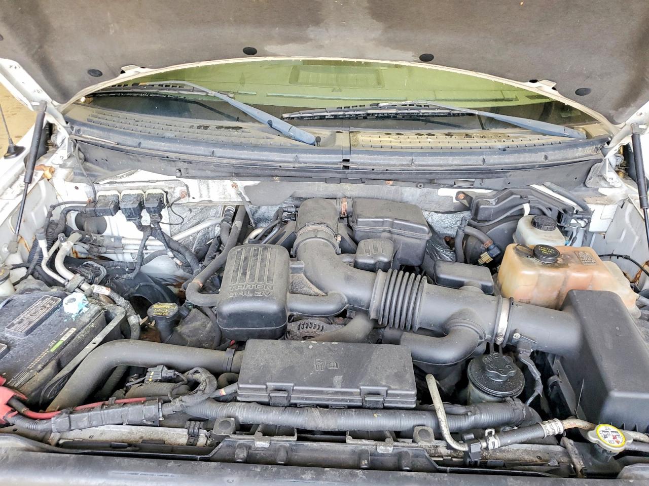 2010 Ford F150 VIN 1FTFW1EV2AFD35410 photo 11