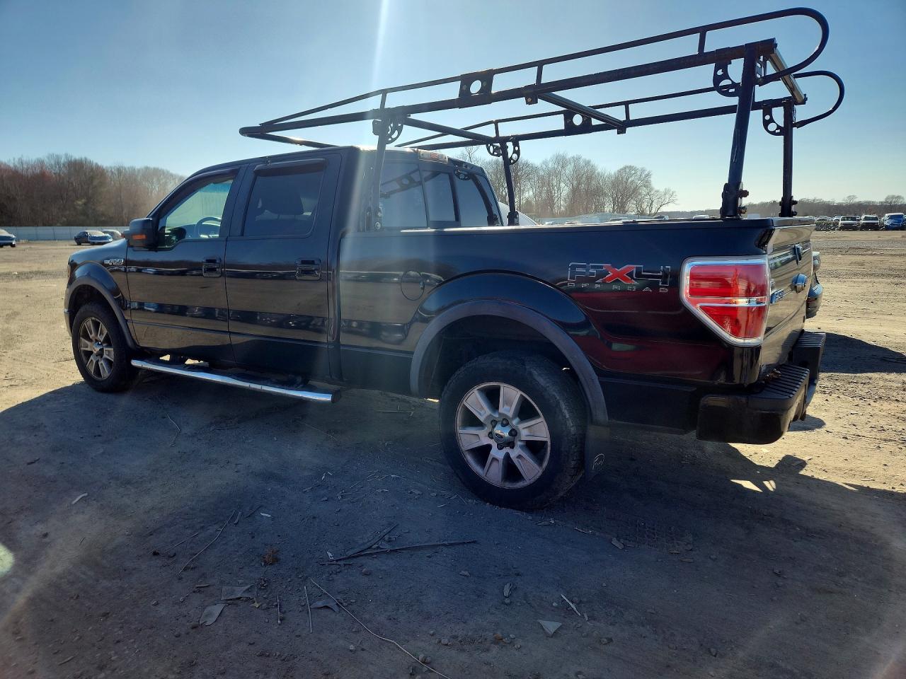 2010 Ford F150 VIN 1FTFW1EV5AFD67753 photo 2