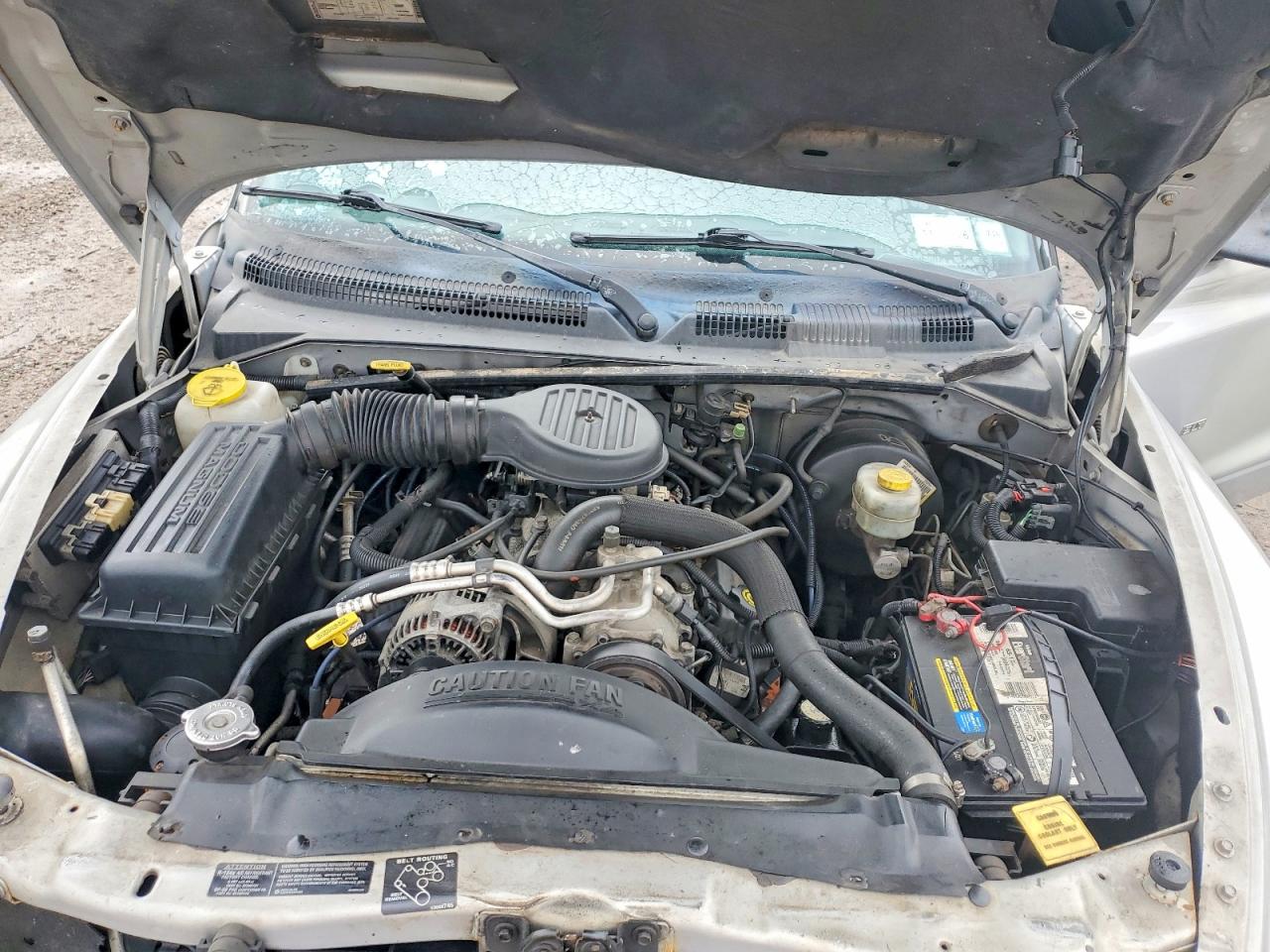 1999 Dodge Dakota VIN 1B7GG22YXXS157607 photo 11