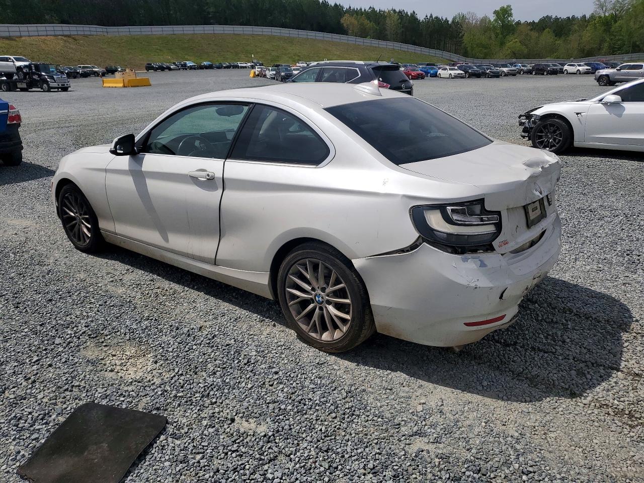 2015 BMW 2 series VIN WBA1F5C53FV256889 photo 2