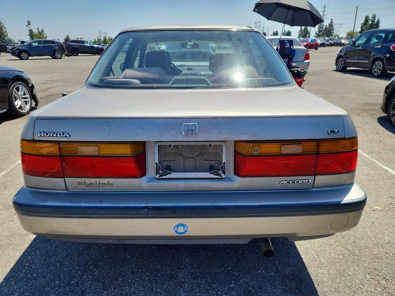 1991 Honda Accord VIN 1HGCB7659MA097915 photo 6