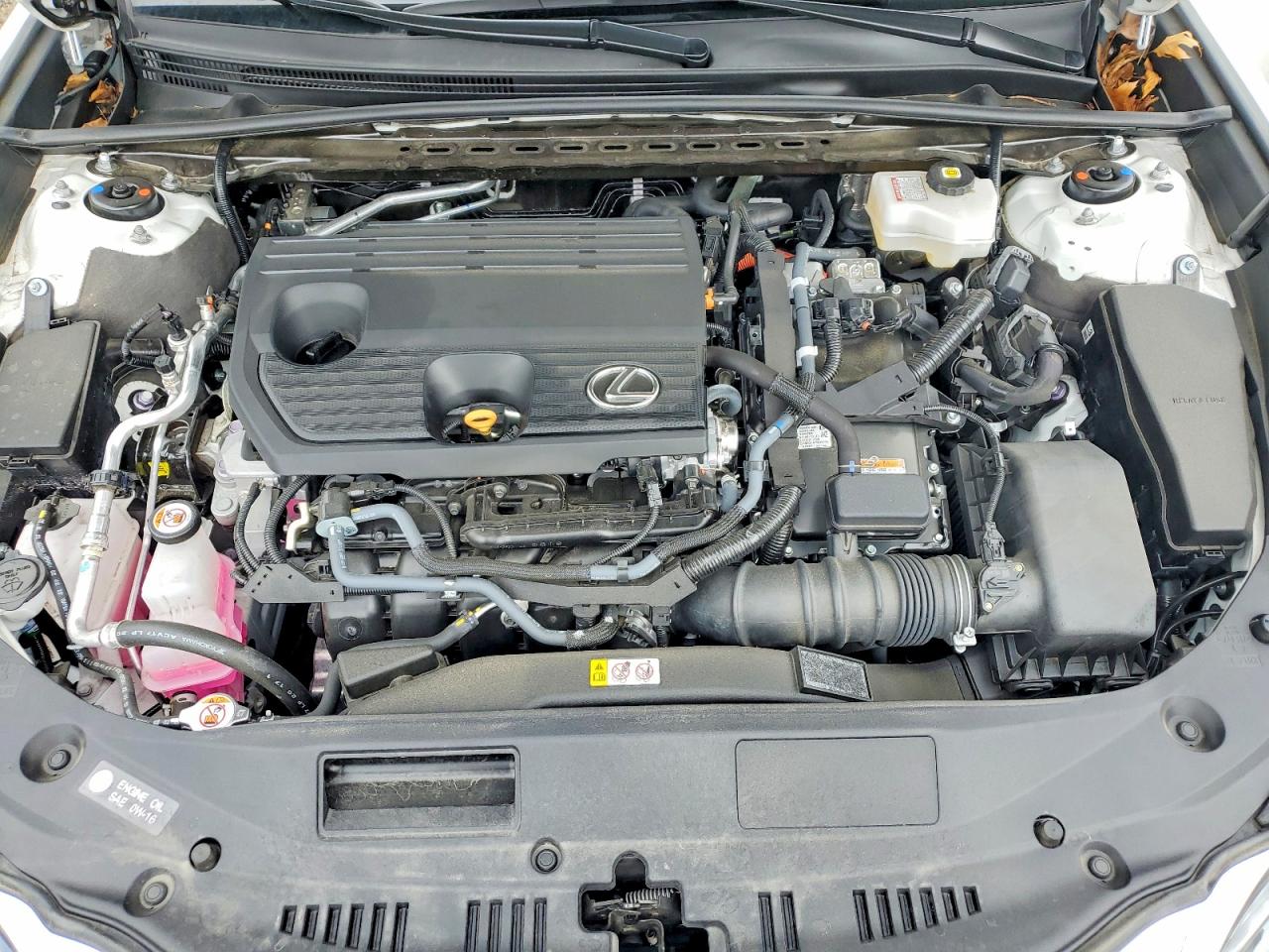 2024 LEXUS Es300 VIN 58ADA1C17RU040918 photo 11