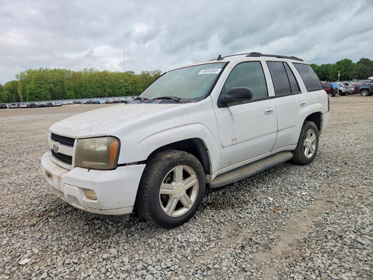 2008 Chevrolet Trailblaze VIN 1GNDS13S382134393 photo 1