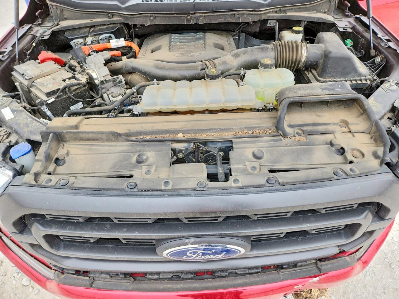 2022 Ford F150 VIN 1FTFW1ED2NFA15940 photo 11