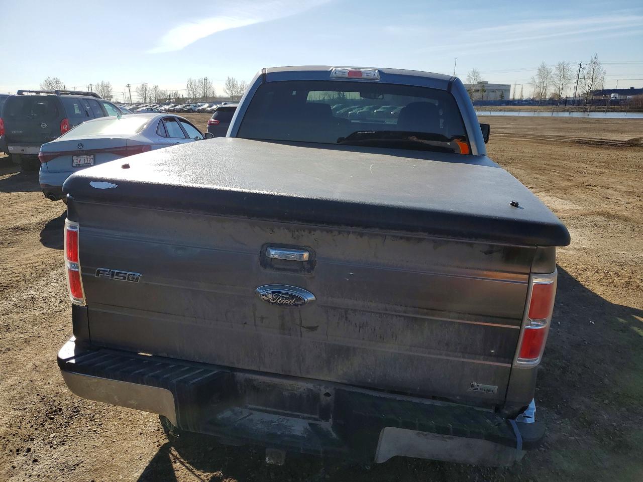 2010 Ford F150 VIN 1FTFW1EV4AFC54599 photo 6