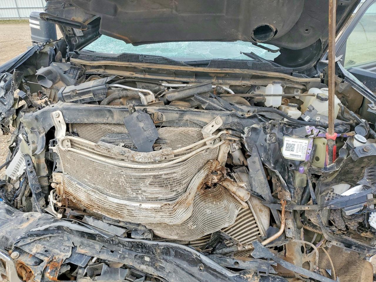 2024 Chevrolet Silverado VIN 1GC4YVEY3RF405379 photo 11