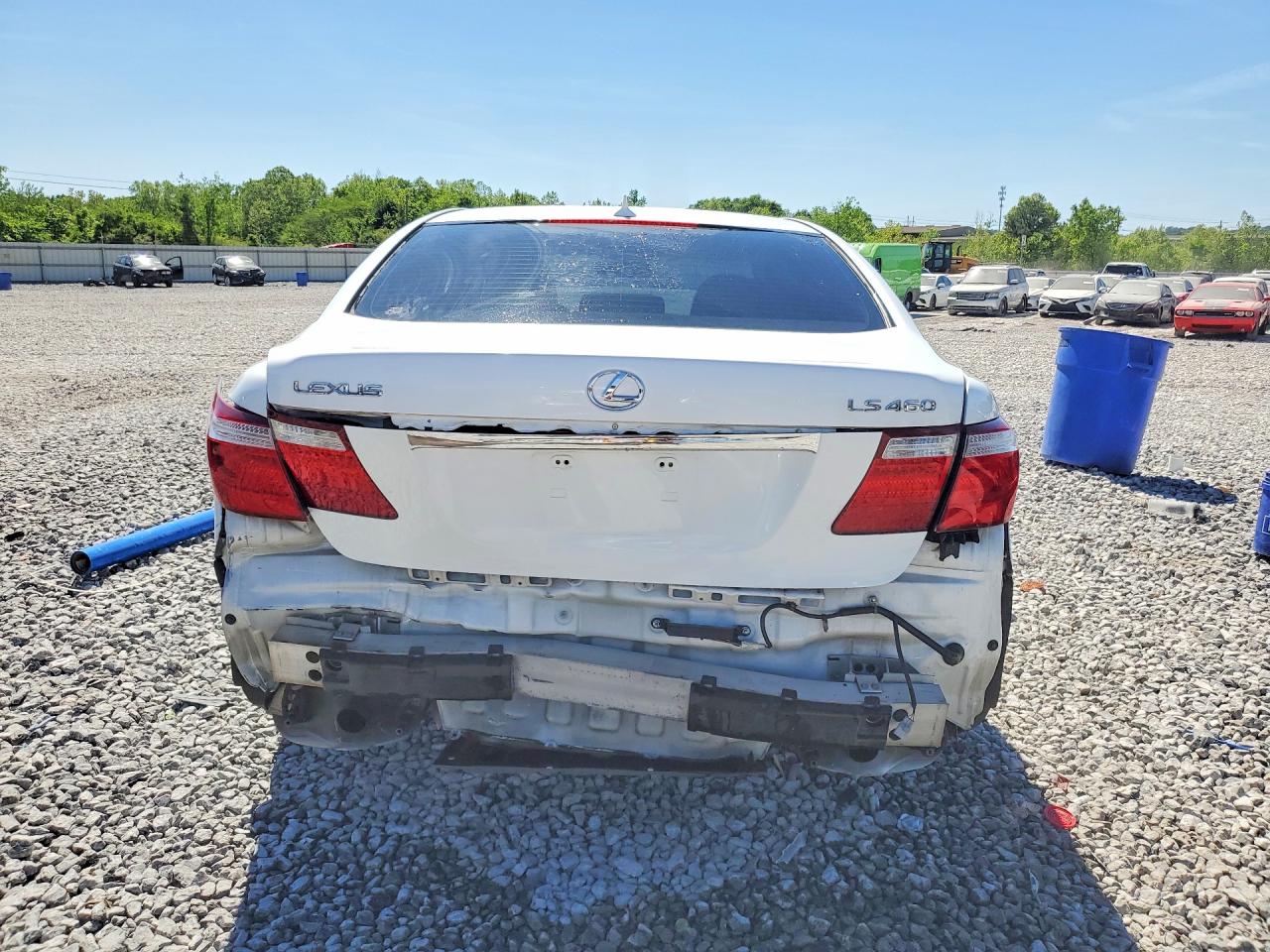 2009 Lexus Ls460 VIN JTHBL46F495090626 photo 6