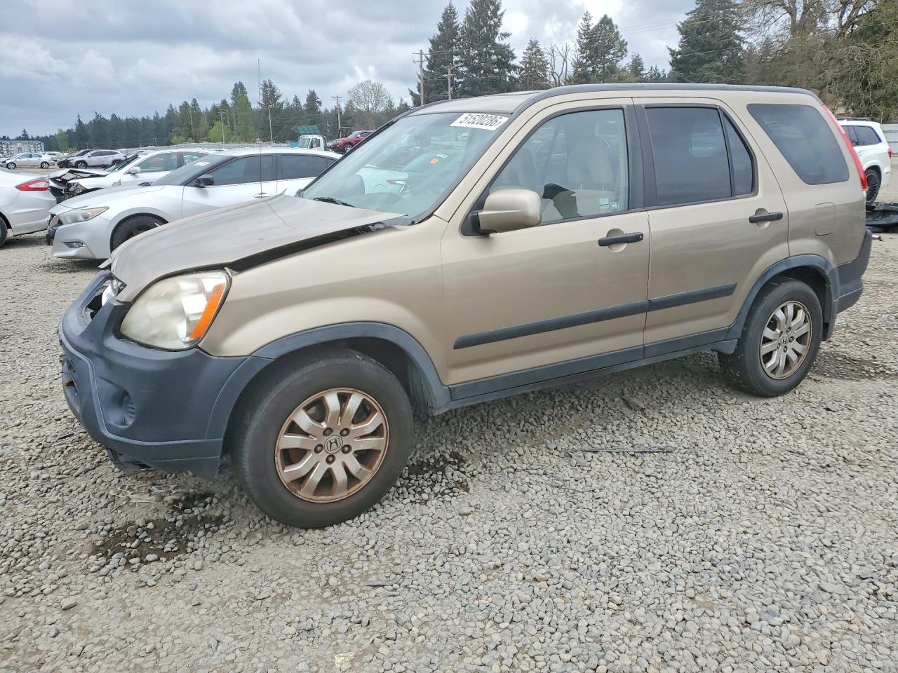 2006 Honda Crv VIN JHLRD68826C020351 photo 1