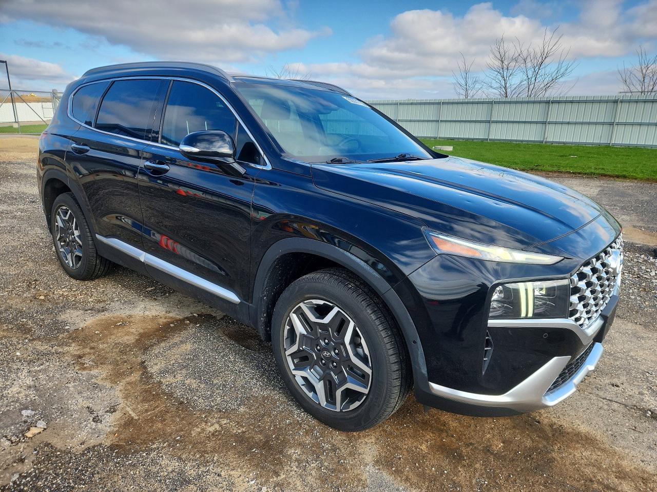 2022 Hyundai Santa fe VIN KM8S5DA16NU040944 photo 4