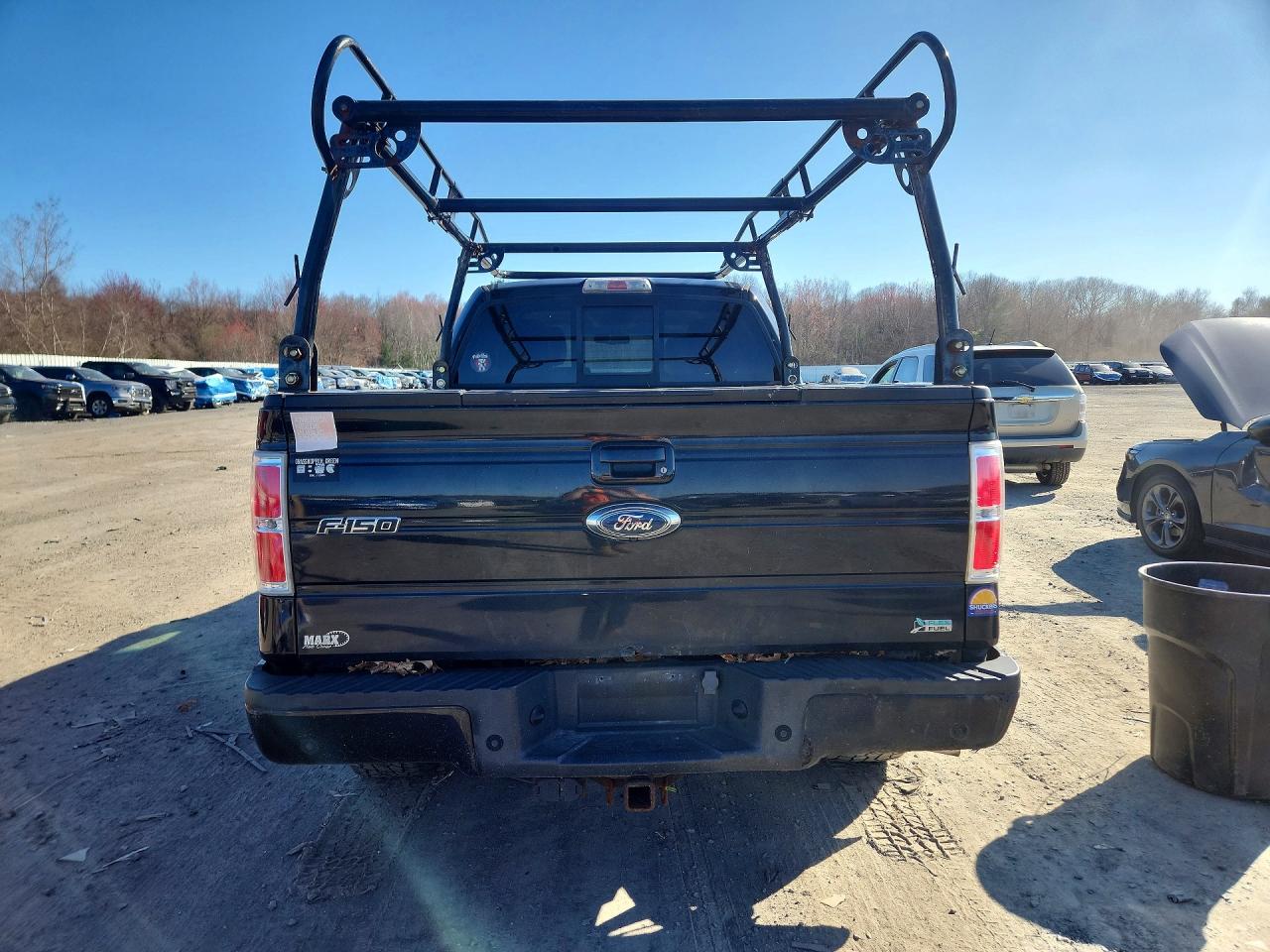 2010 Ford F150 VIN 1FTFW1EV5AFD67753 photo 6
