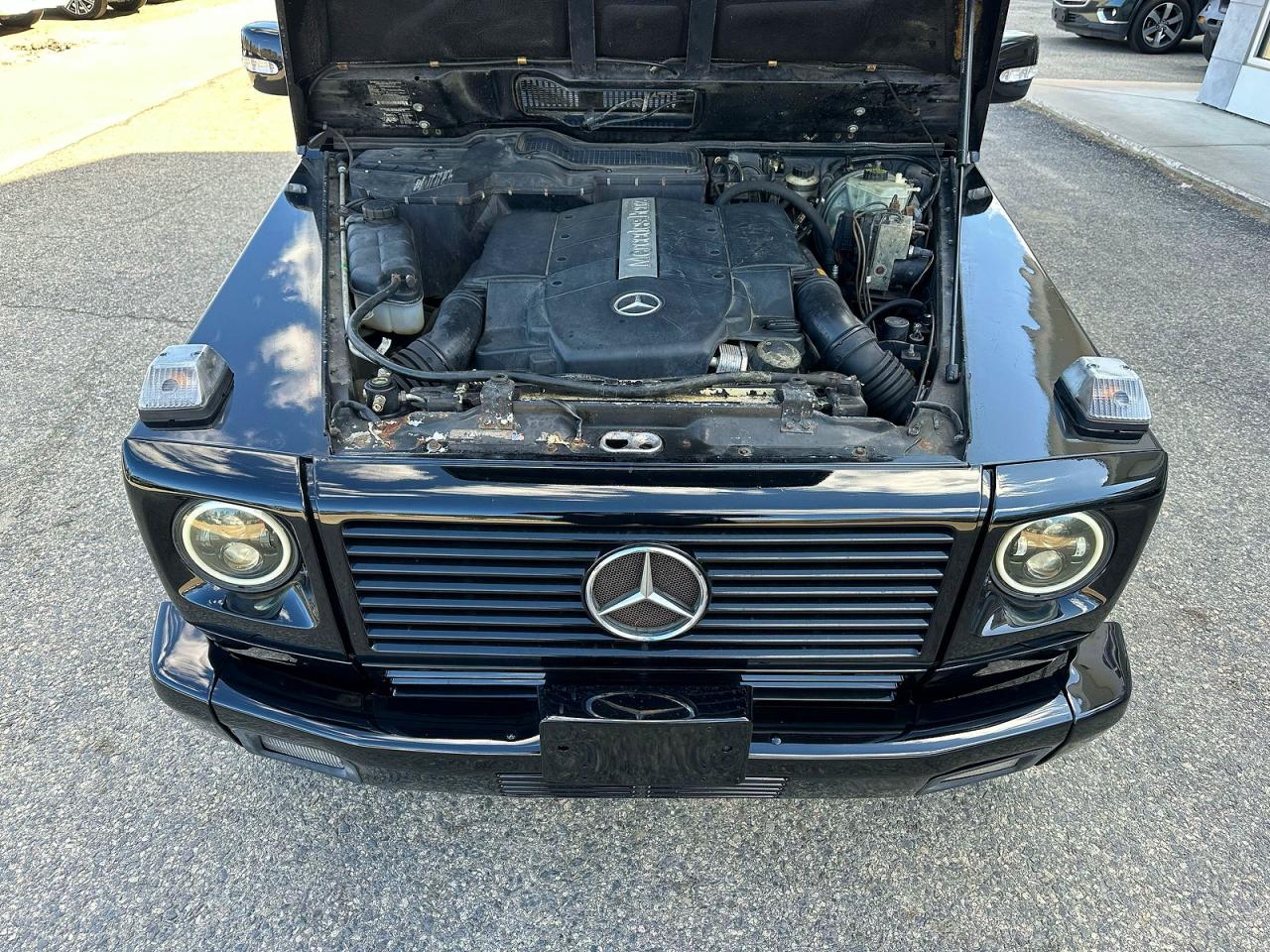 2003 MERCEDES-BENZ G-class VIN WDCYR49E23X140703 photo 7