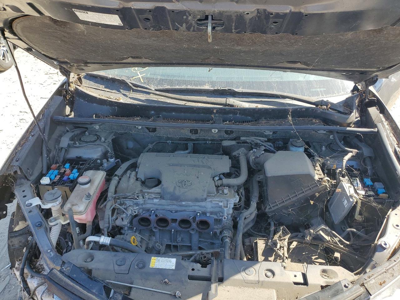 2016 TOYT Rav4 VIN JTMWFREV9GJ092909 photo 12